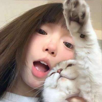 古宝争夺战